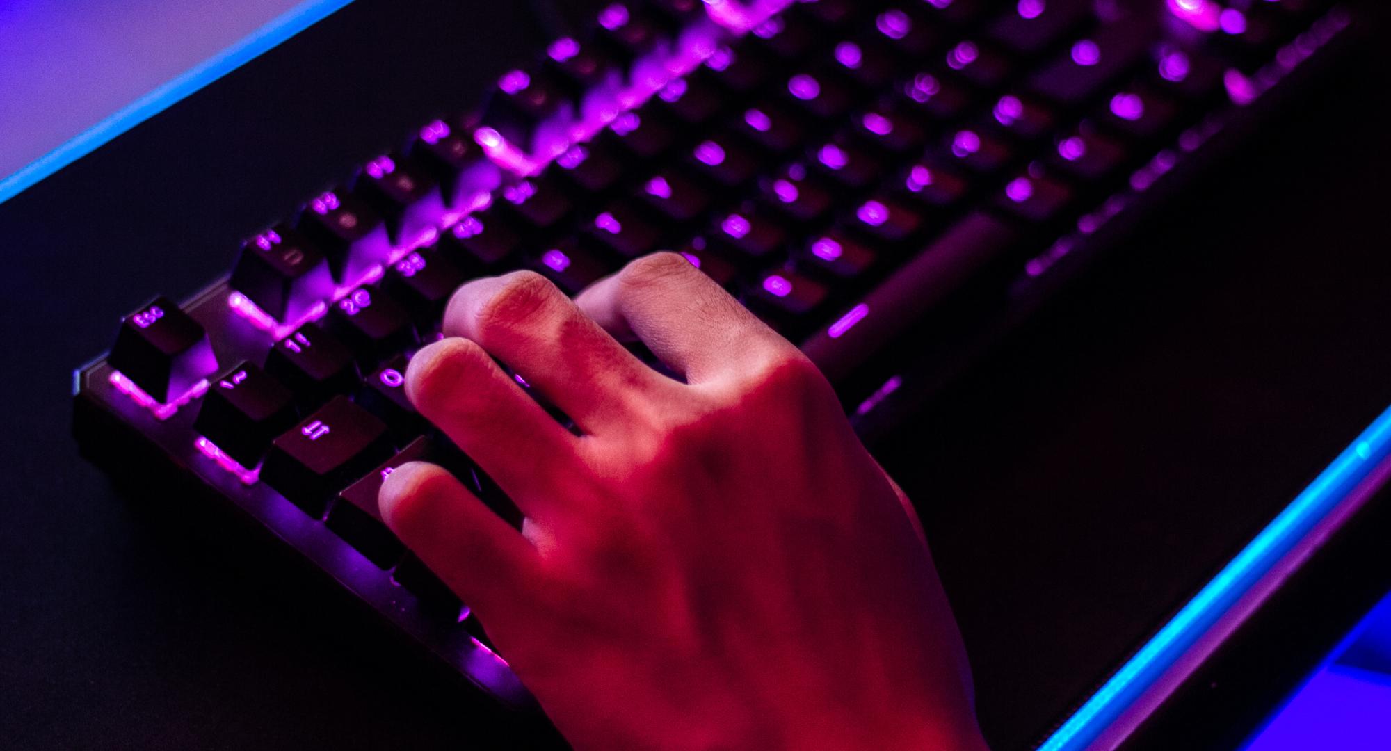 PT. Pixeland Kreatif Indonesia